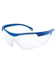 Z800 Safety Glasses (SAX443)